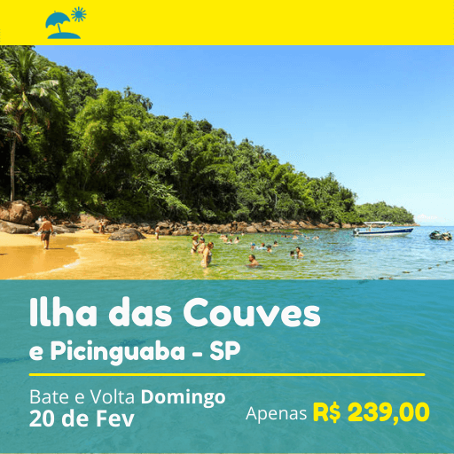 Read more about the article Ilha das Couves 20/02