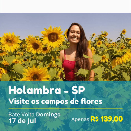 You are currently viewing Holambra 17/07