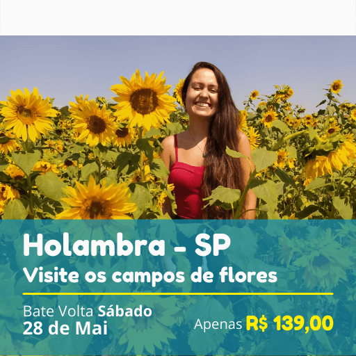 You are currently viewing Holambra 28/05