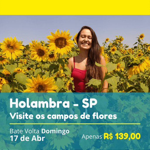 You are currently viewing Holambra 17/04